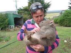 Wombat Lady czyli kobieta z pasją