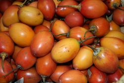 ekwador-pomidory.jpg