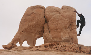 jordania-slon.jpg