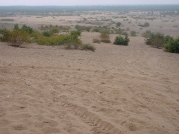 jura-pustynia.jpg