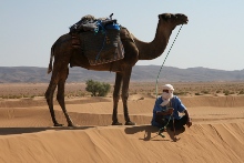 maroko-wielblad.jpg